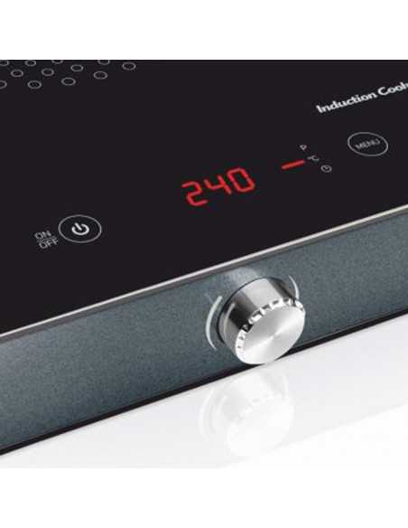 producto-inductionplus-woo-2